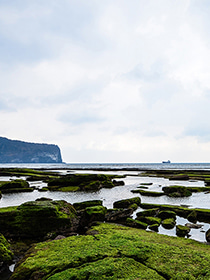 볼거리_1